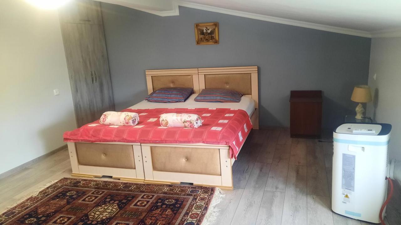 קוטאיסי Victoria Guesthouse חדר תמונה